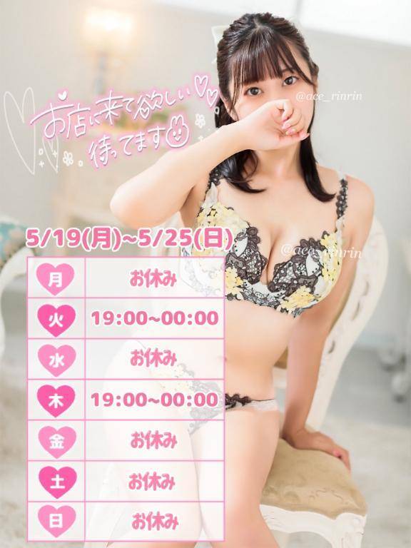 来週は....🐰💕