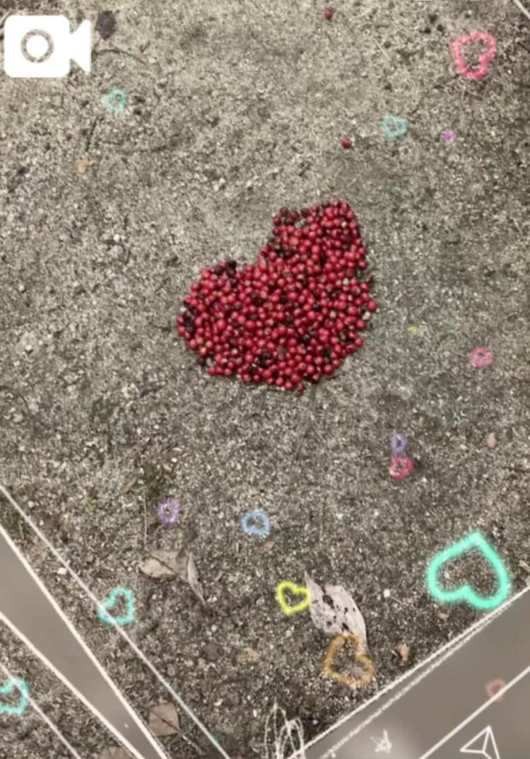 後4日🥺