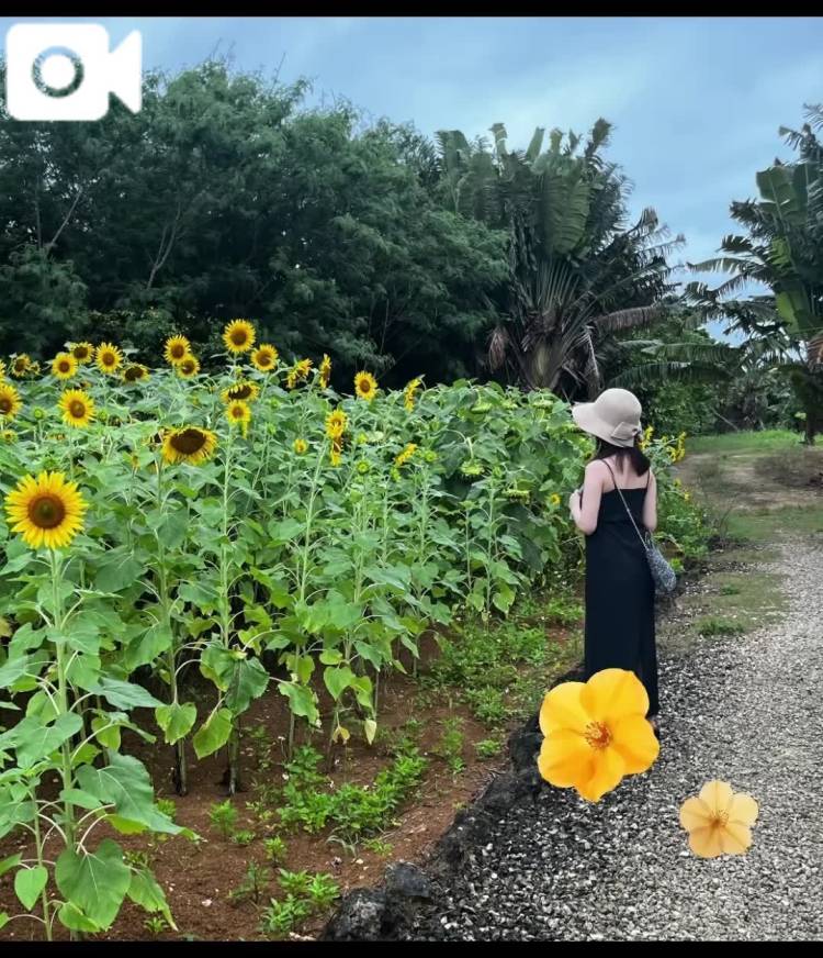 7/25💌
