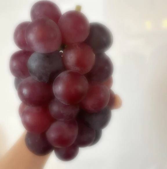 ぶどう🍇