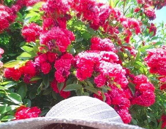 久しぶりに夜ラン！👀