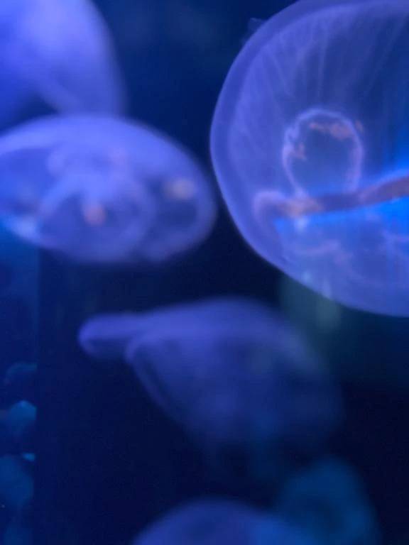 ご案内出来なかったご新規様😭