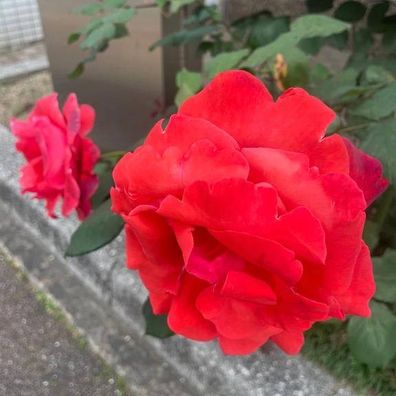 退勤!ありがとう