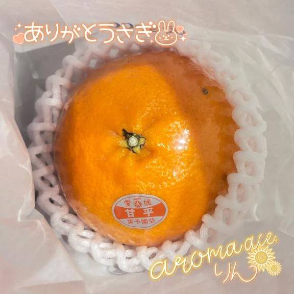 高級柑橘....🍊💕