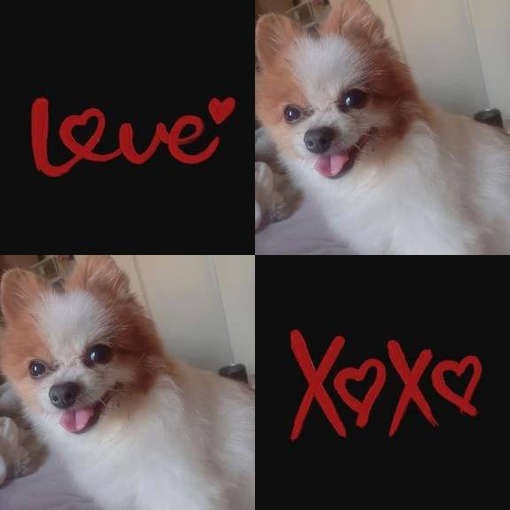 最近忙しくさせてもらい幸せです💘