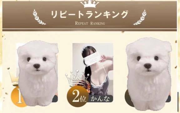 ランキングに囚われず