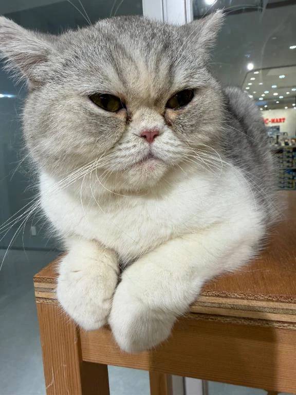 こんにちは🥰