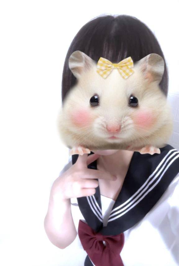 おはよう🌟
