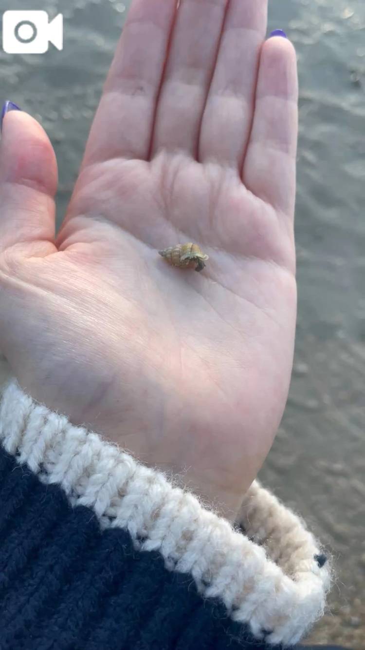 向かってます