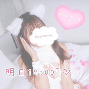 明日19:00~🐰💕