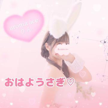 おはようさぎ🐰💕