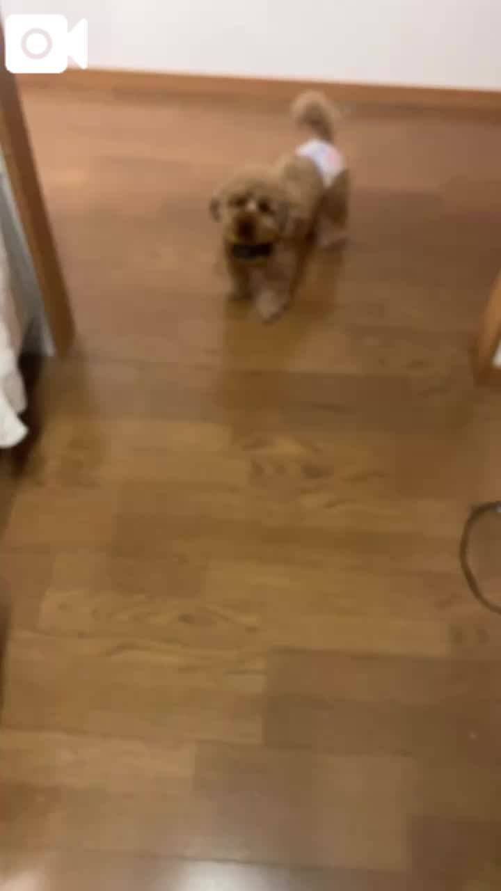 可愛すぎ︎💕︎