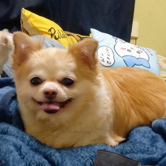 もうすぐ1000人ーー