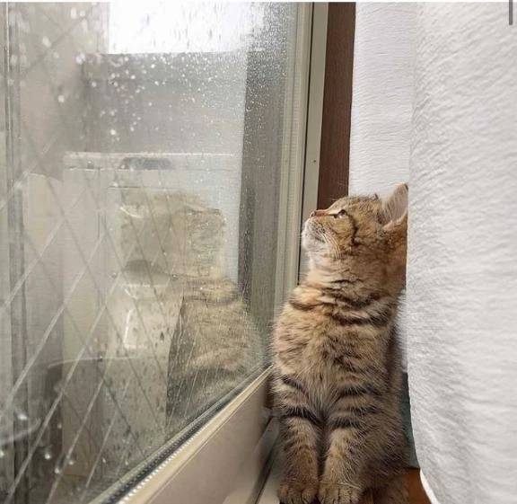 雨☔️