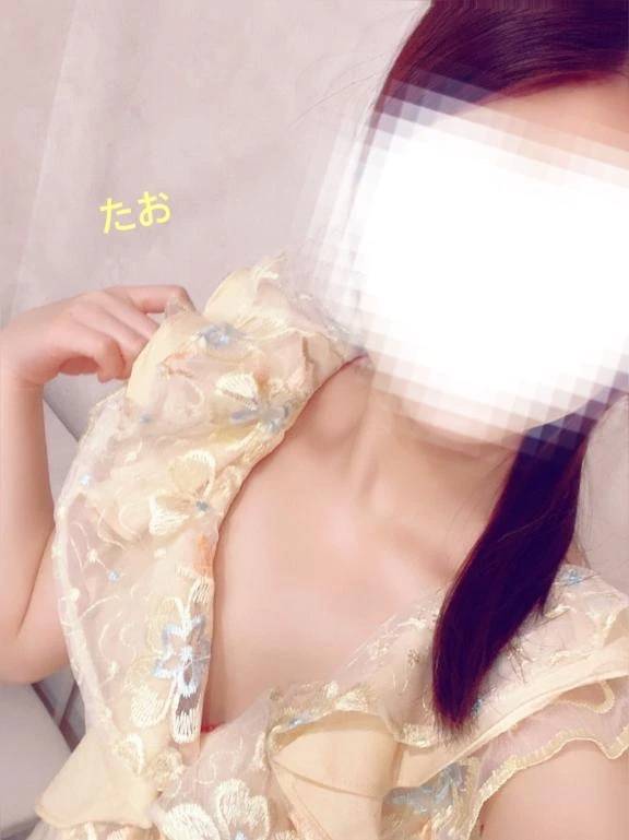 たお です🦁