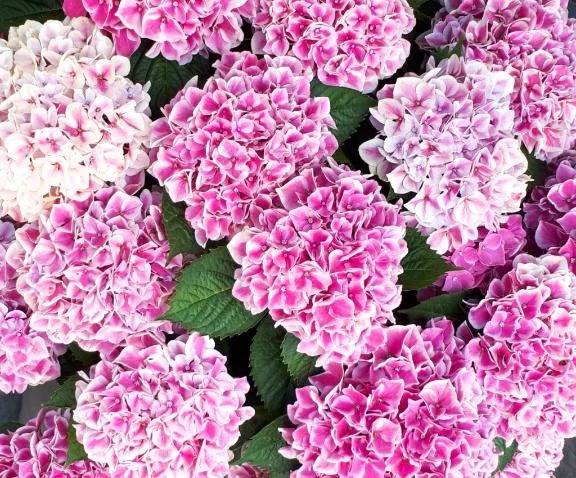 24日〜出勤予定です💠💠