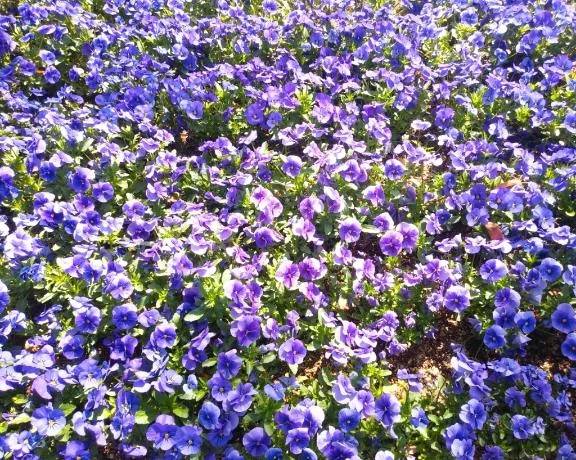 おやすみなさい🌉🌟