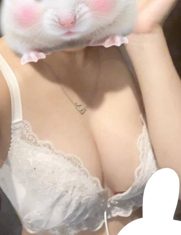 こんばんはᐢ.  ̫.ᐢ✨️