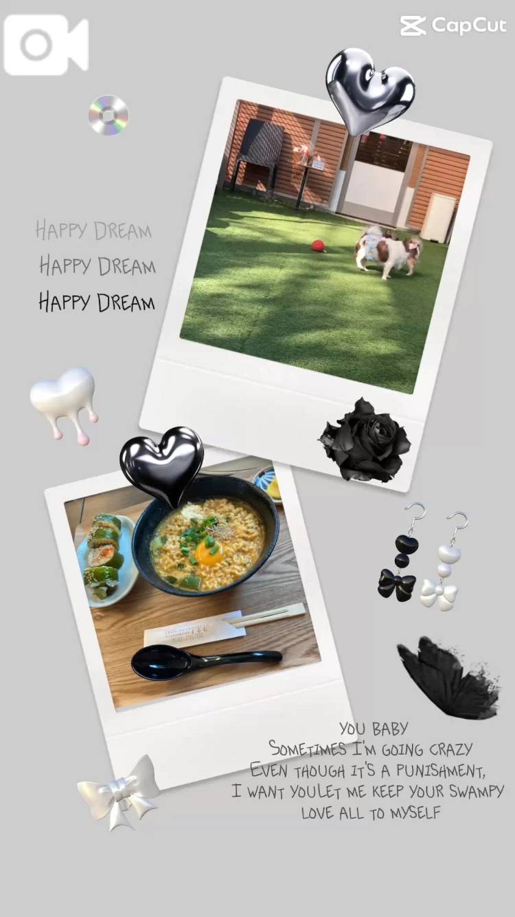 室内ドックラン🐶