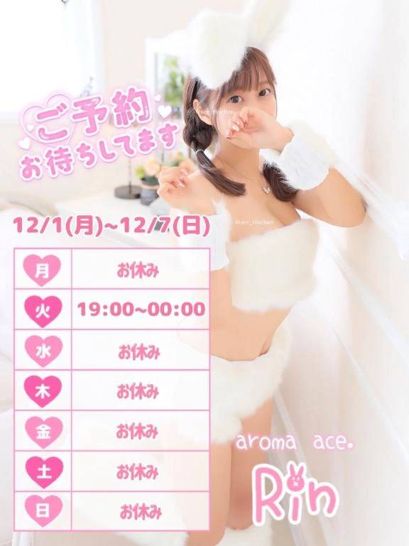 本日19:00~🐰💕