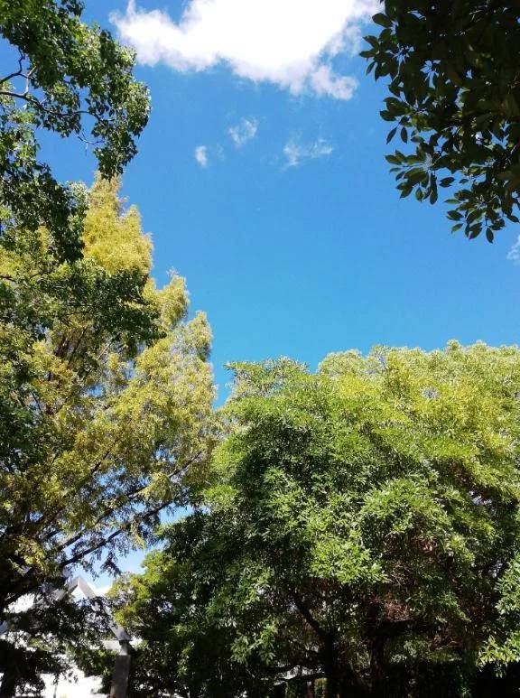 12月🎄🧦°.🎄🎁