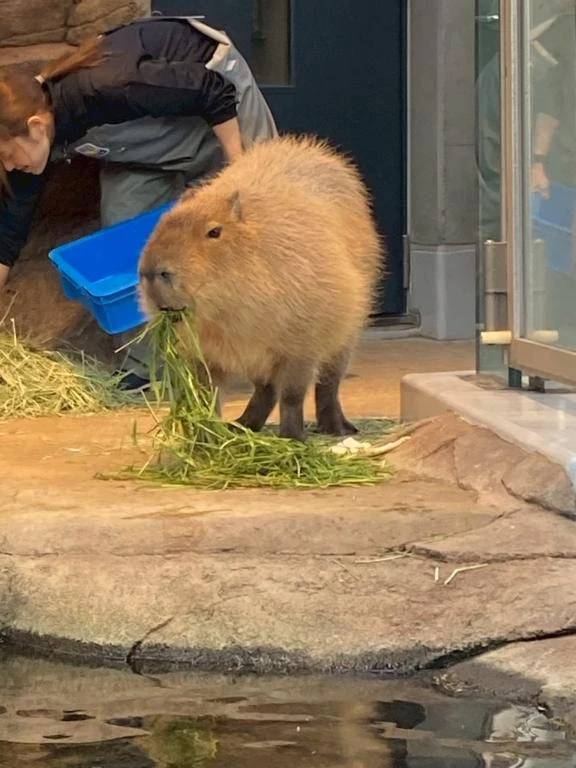 おはよぉ(  ¯꒳​¯ )ᐝ