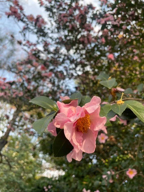 退勤した!ありがとう💌