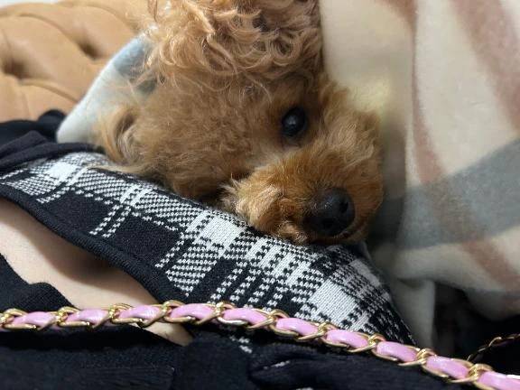 一緒に♡⁄(⁄ ⁄•⁄ω⁄•⁄ ⁄)⁄♡