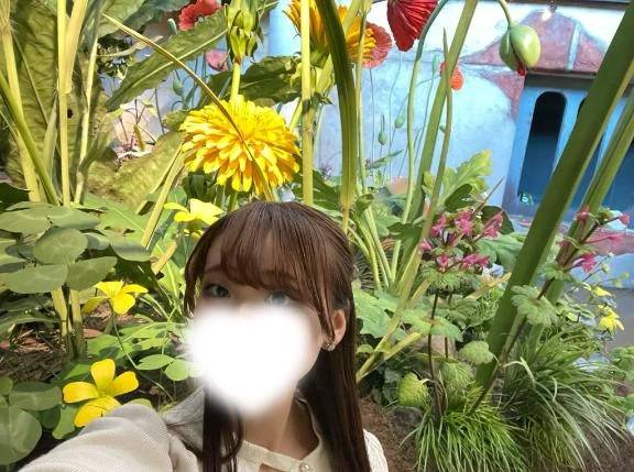 アリエッティになりたいな🌼*･