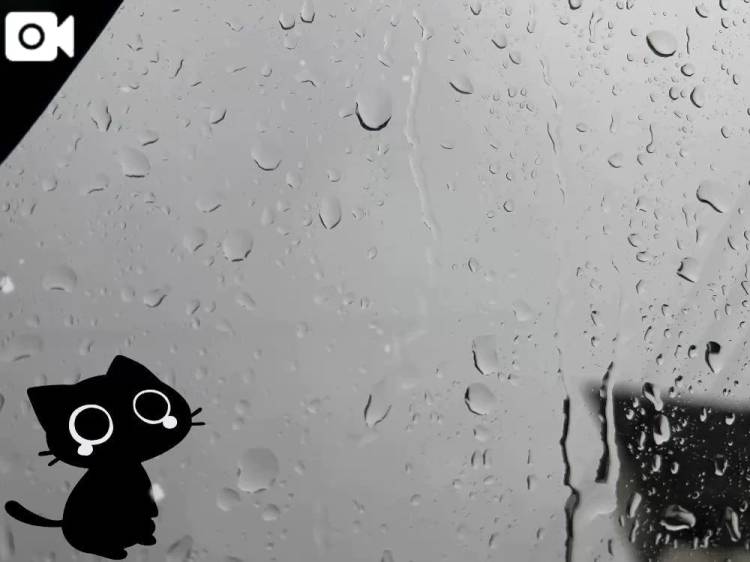 (ρω･`).｡o○︎