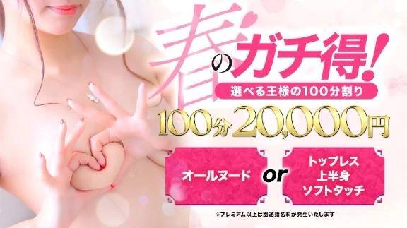 💞大好評です🐰💕