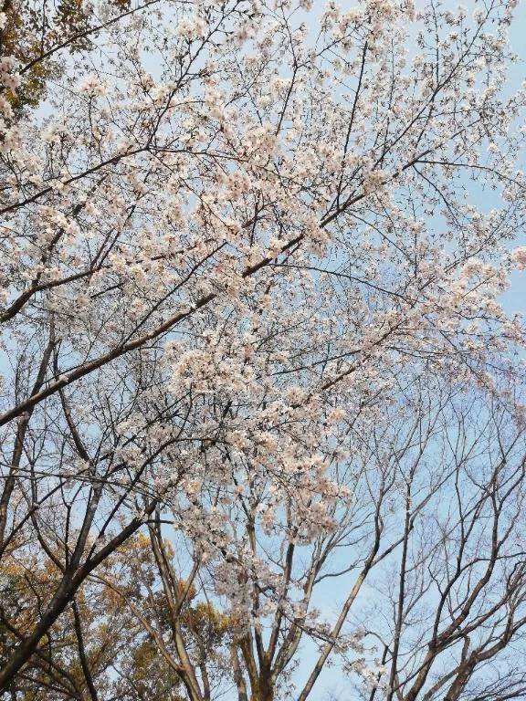 ありがとうございました🩷