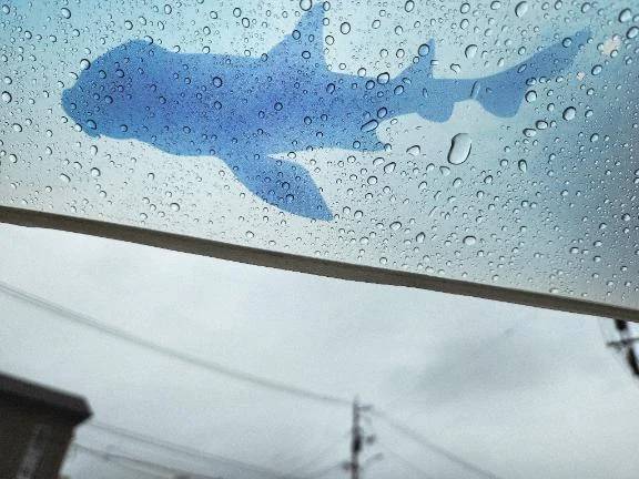 雨降りの中