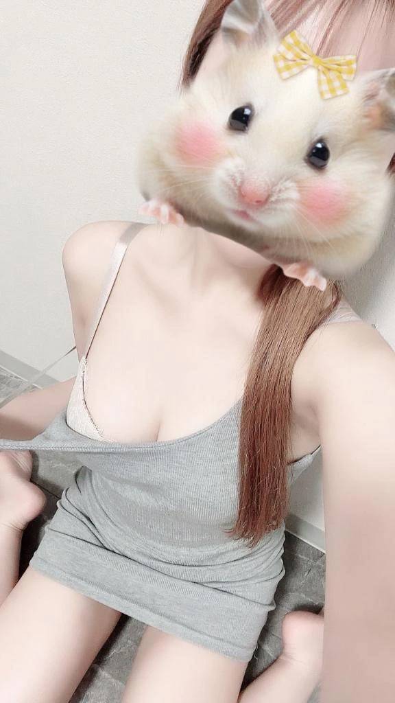 これだけは🥺