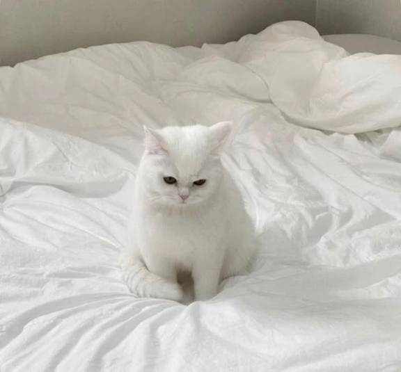💭☁️