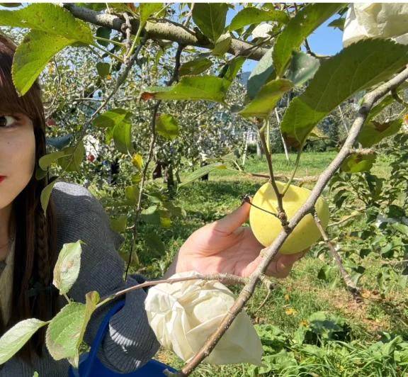 何個食べたでしょうか🍎