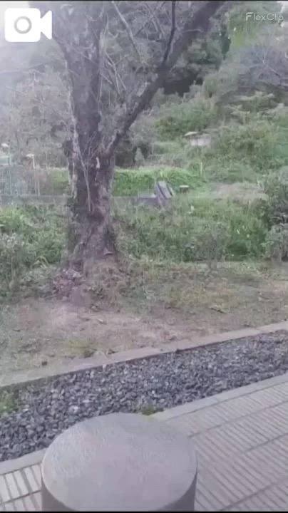 今日から11月3日まで！