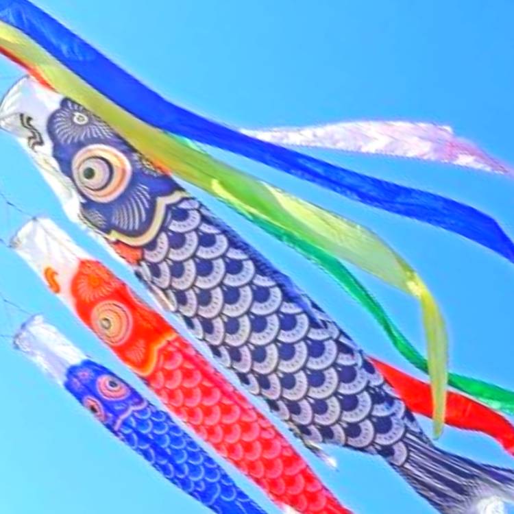 あすか 超絶倫★美人奥様の変態遊戯！