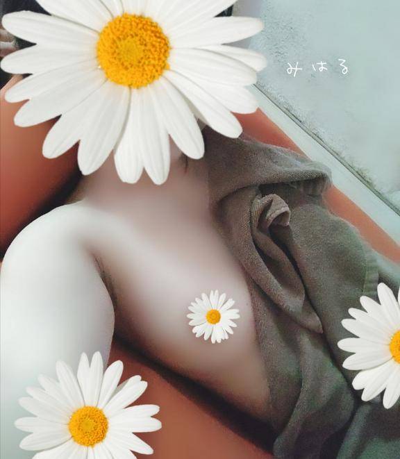 みはるです?先程のお礼??