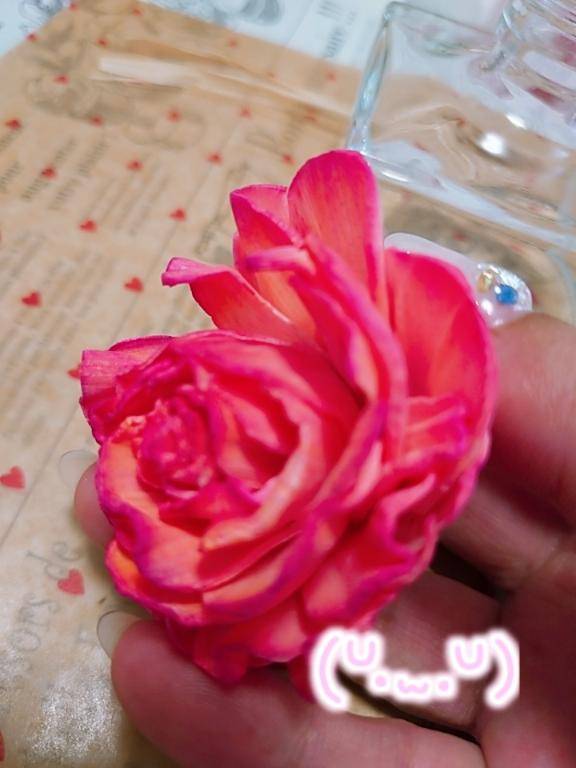 毎週はﾀﾞﾒよ🙈💗