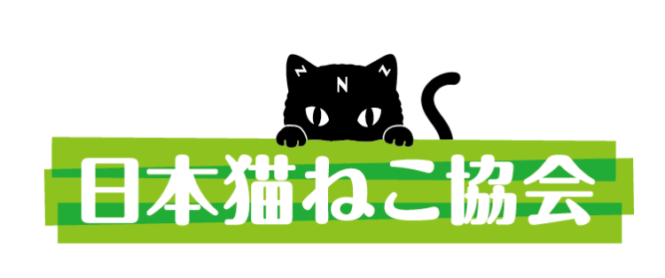 ゆみ　愛くるしい美人妻☆心に残る秘密の情事