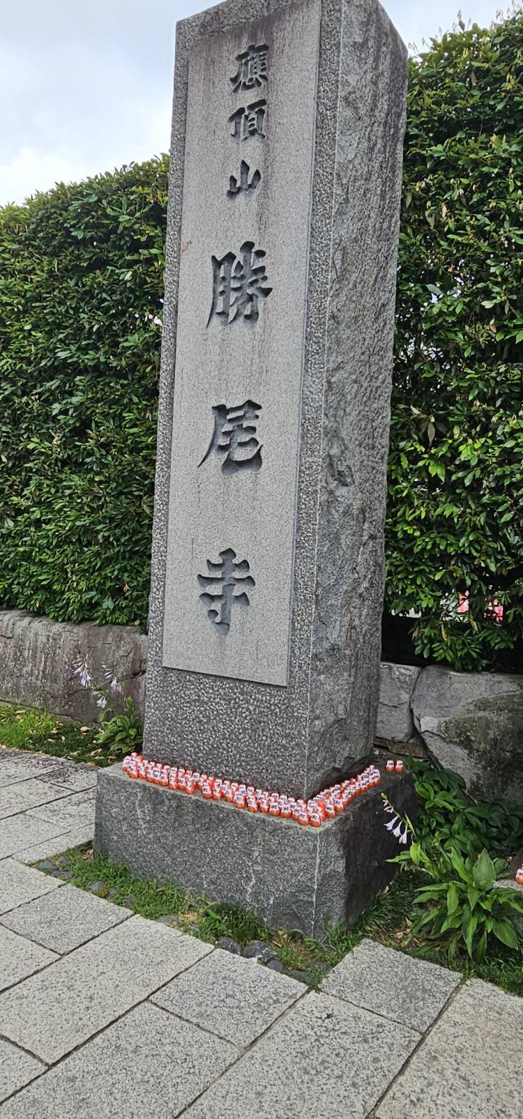 だるまさん
