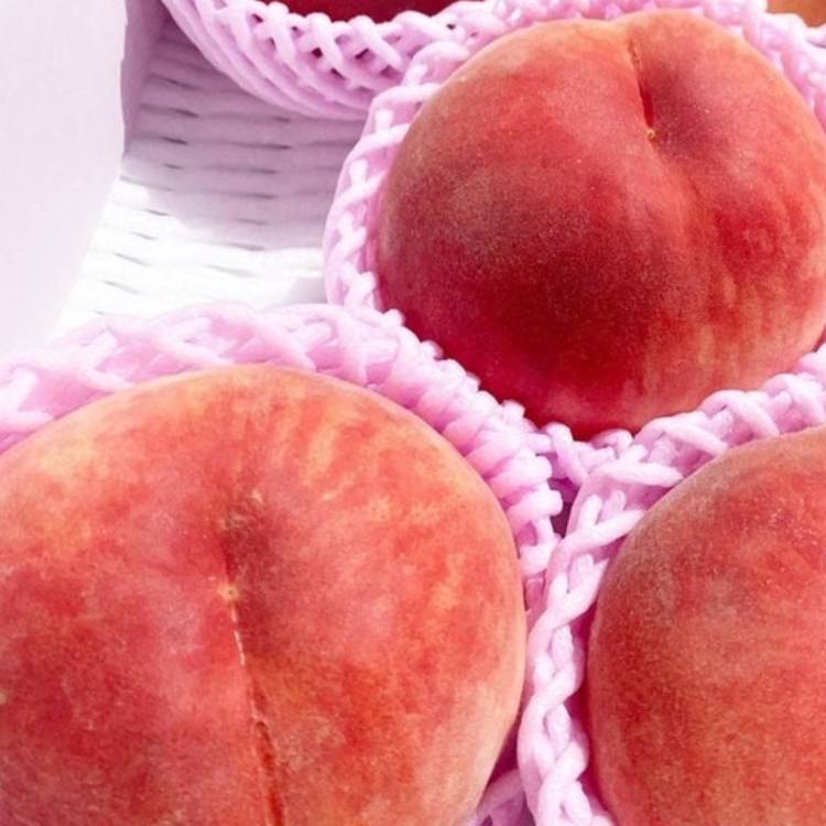 4日…出勤