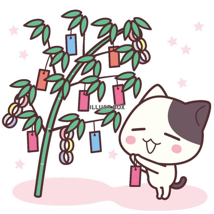 今日は七夕だネー☆