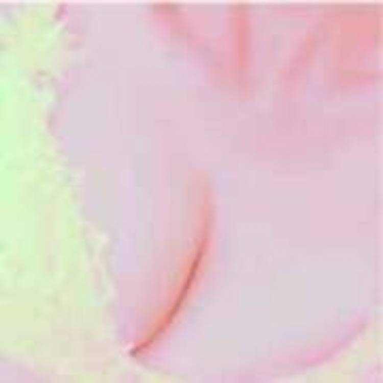 コンバンワ
