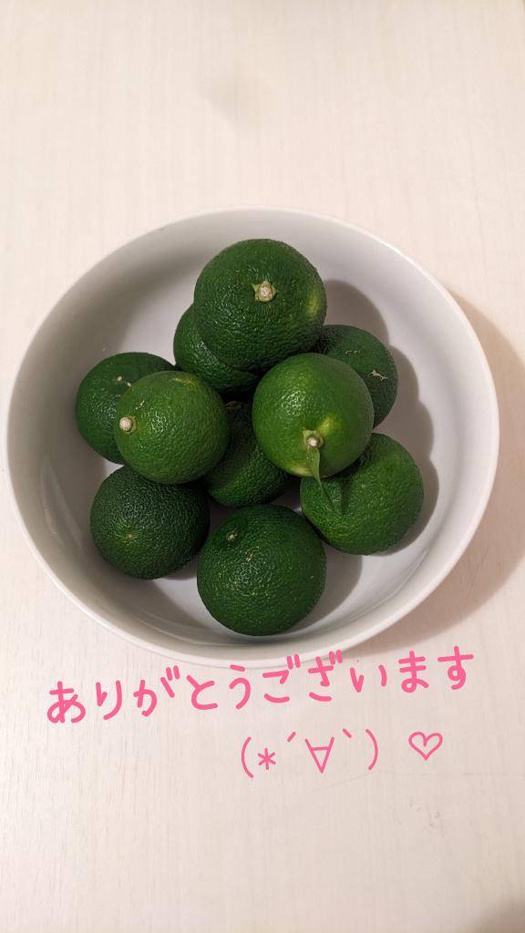 リピさま(^ー^)　　　　おとは
