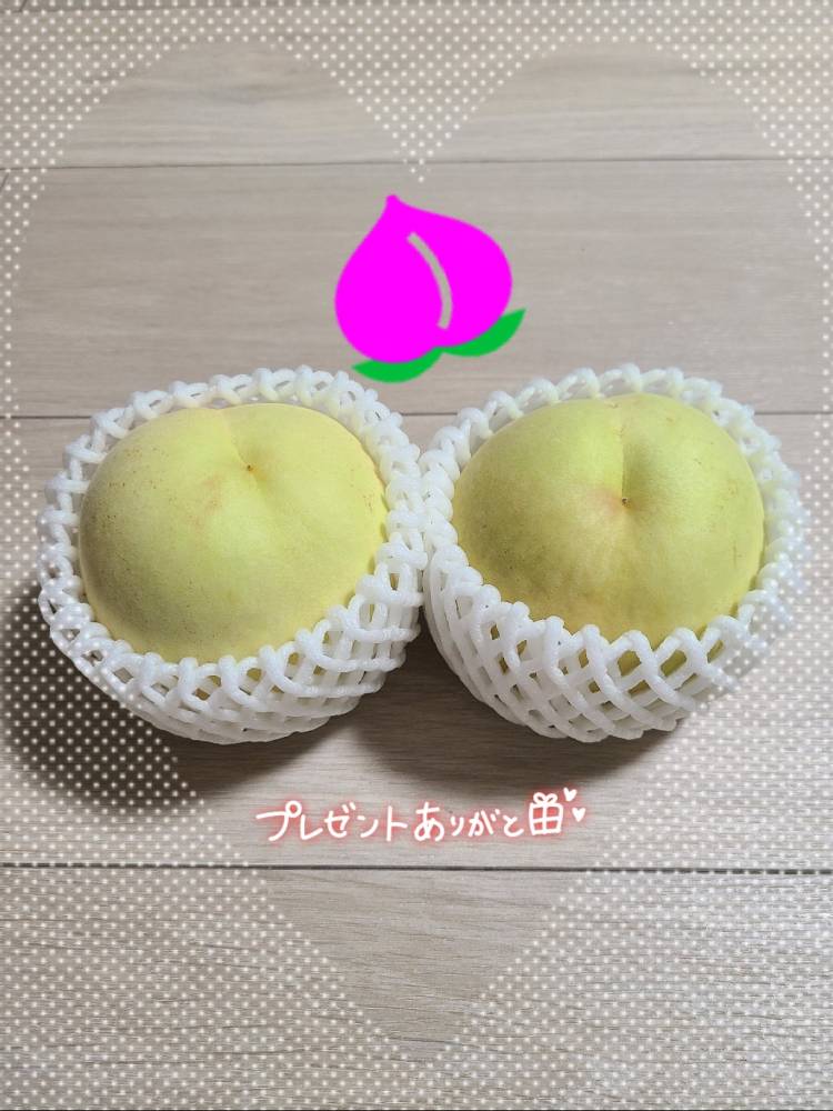 23日御礼、206朝イチのお兄さん…へ