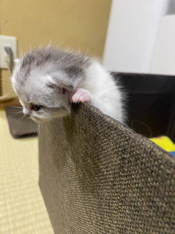寝ても寝ても。。