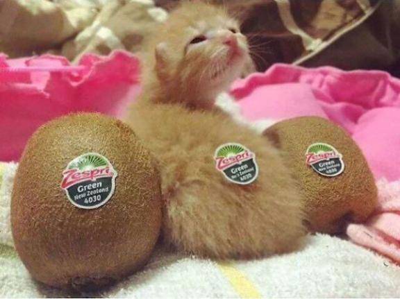 こんばんわ
