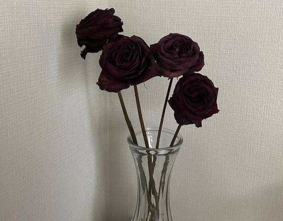 さおり　近所の美人妻と淫らな秘め事